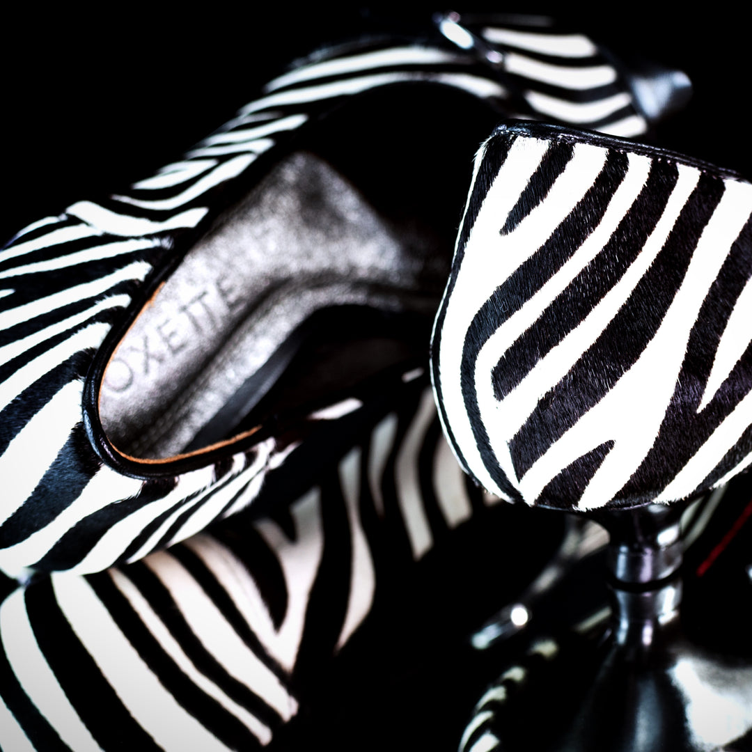 Dua Pony Zebra